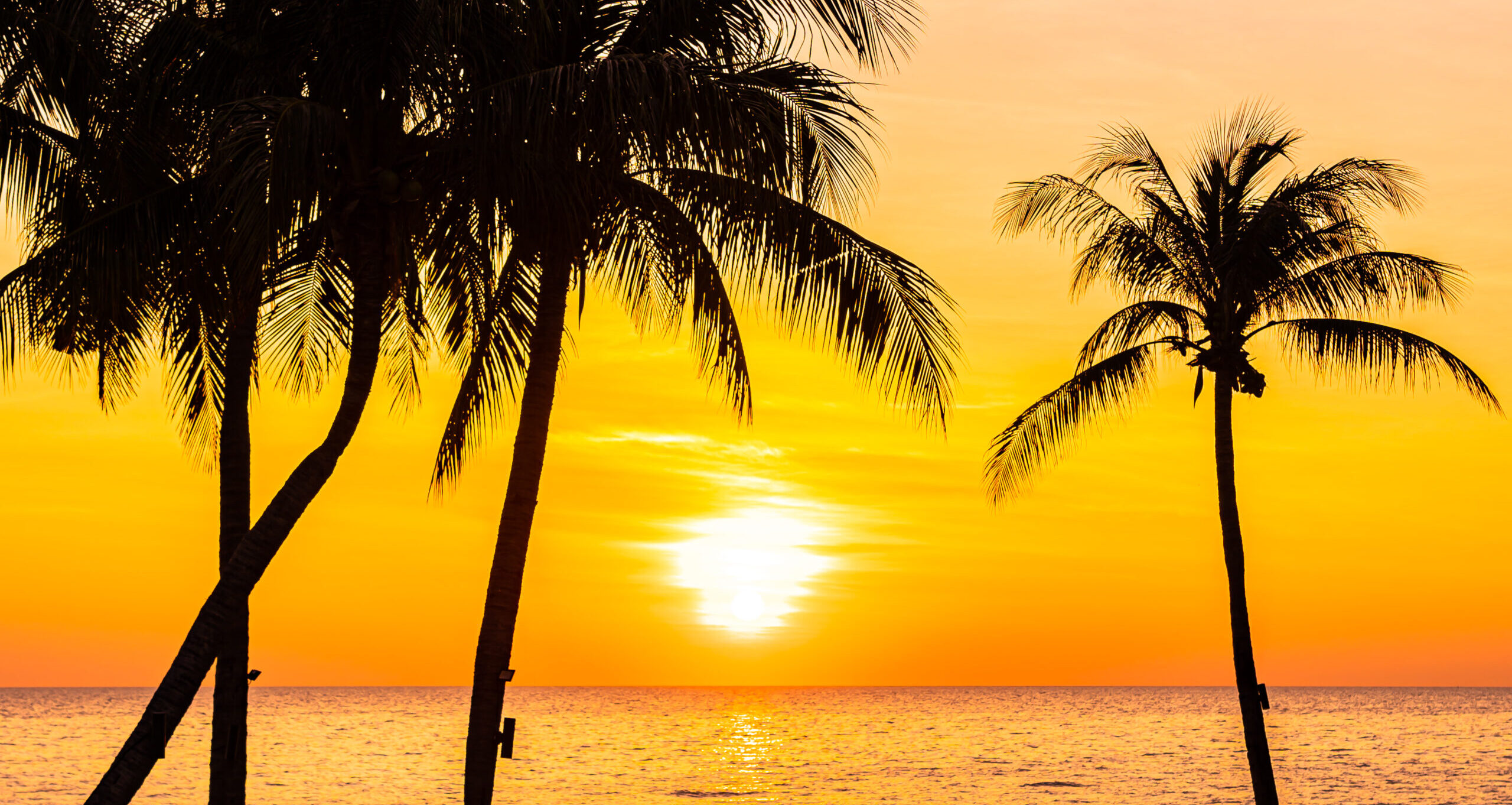 cropped-beautiful-landscape-of-sea-ocean-with-silhouette-c-RSMADXZ-scaled-5.jpg